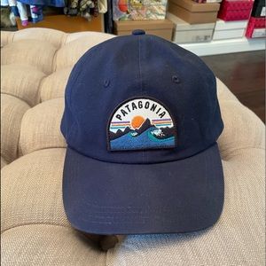 Patagonia baseball hat- cool patch